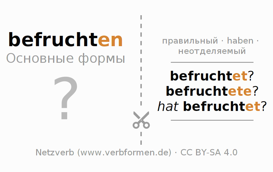 Обучающие карточки по спряжению глагола befruchten