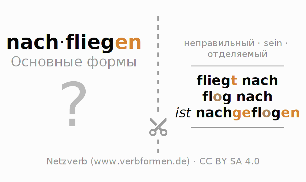 Обучающие карточки по спряжению глагола nachfliegen (ist)