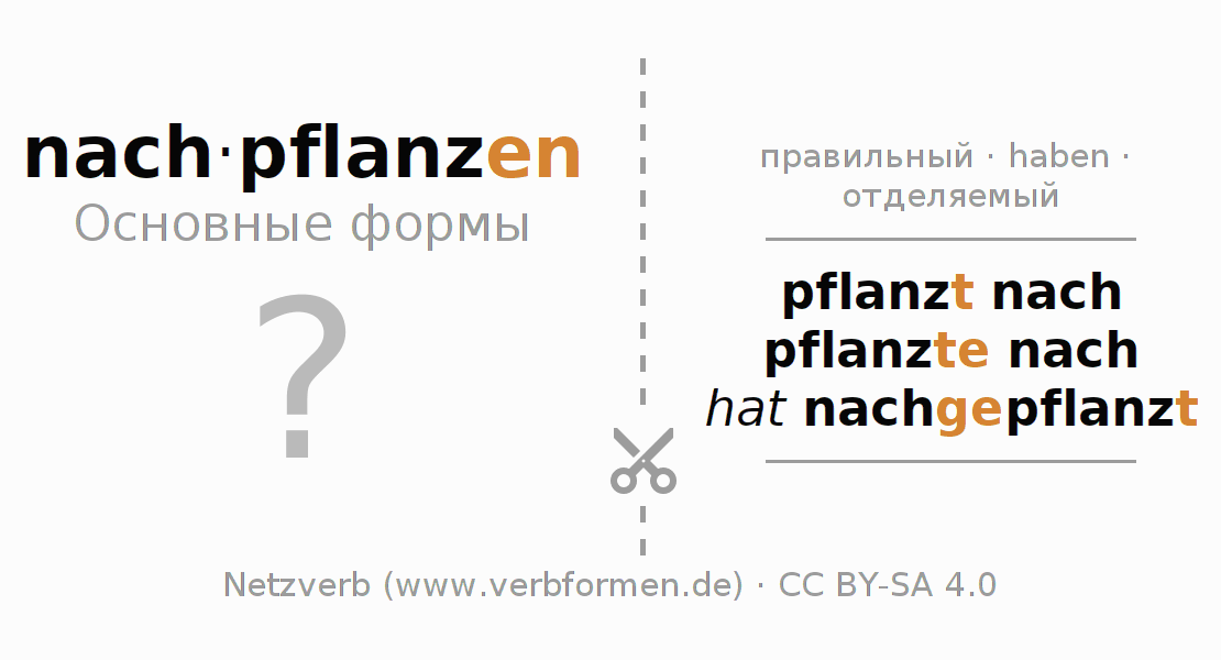 Обучающие карточки по спряжению глагола nachpflanzen