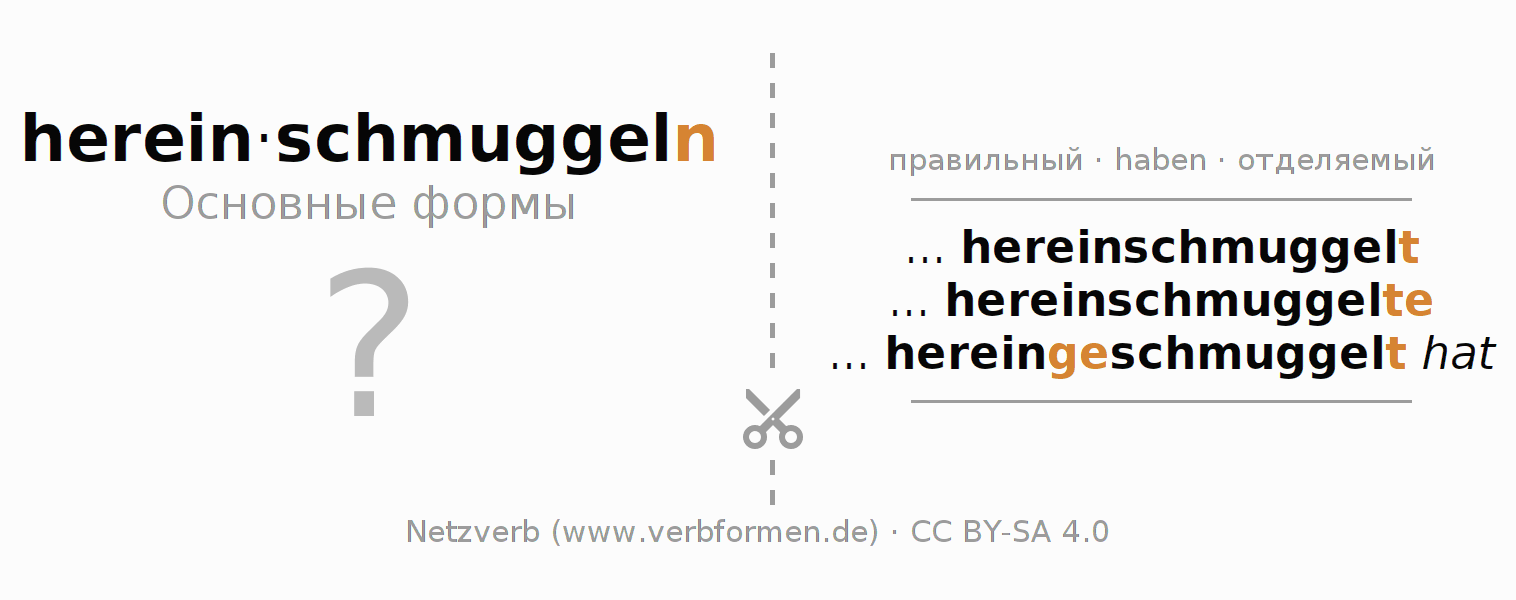 Обучающие карточки по спряжению глагола hereinschmuggeln