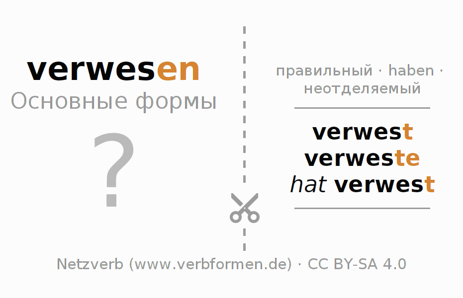 Обучающие карточки по спряжению глагола verwesen (hat)