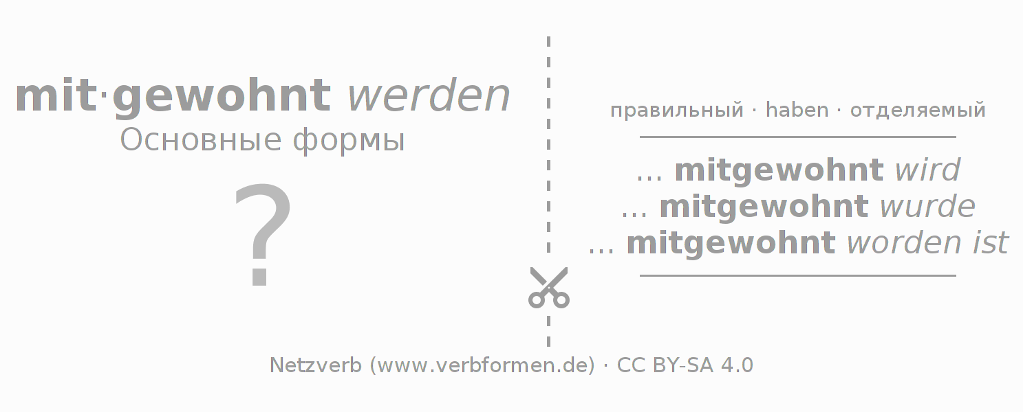 Обучающие карточки по спряжению глагола mitwohnen