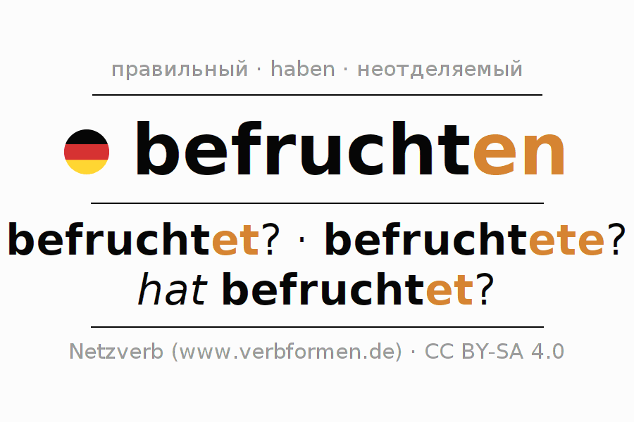 Спряжение глагола befruchten